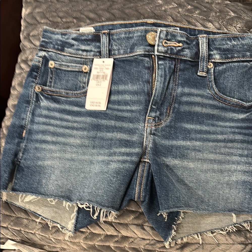 American Eagle Outfitters Blue Vintage Jean Shorts
